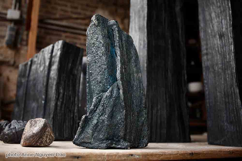 Portrait of Alain Gaudebert